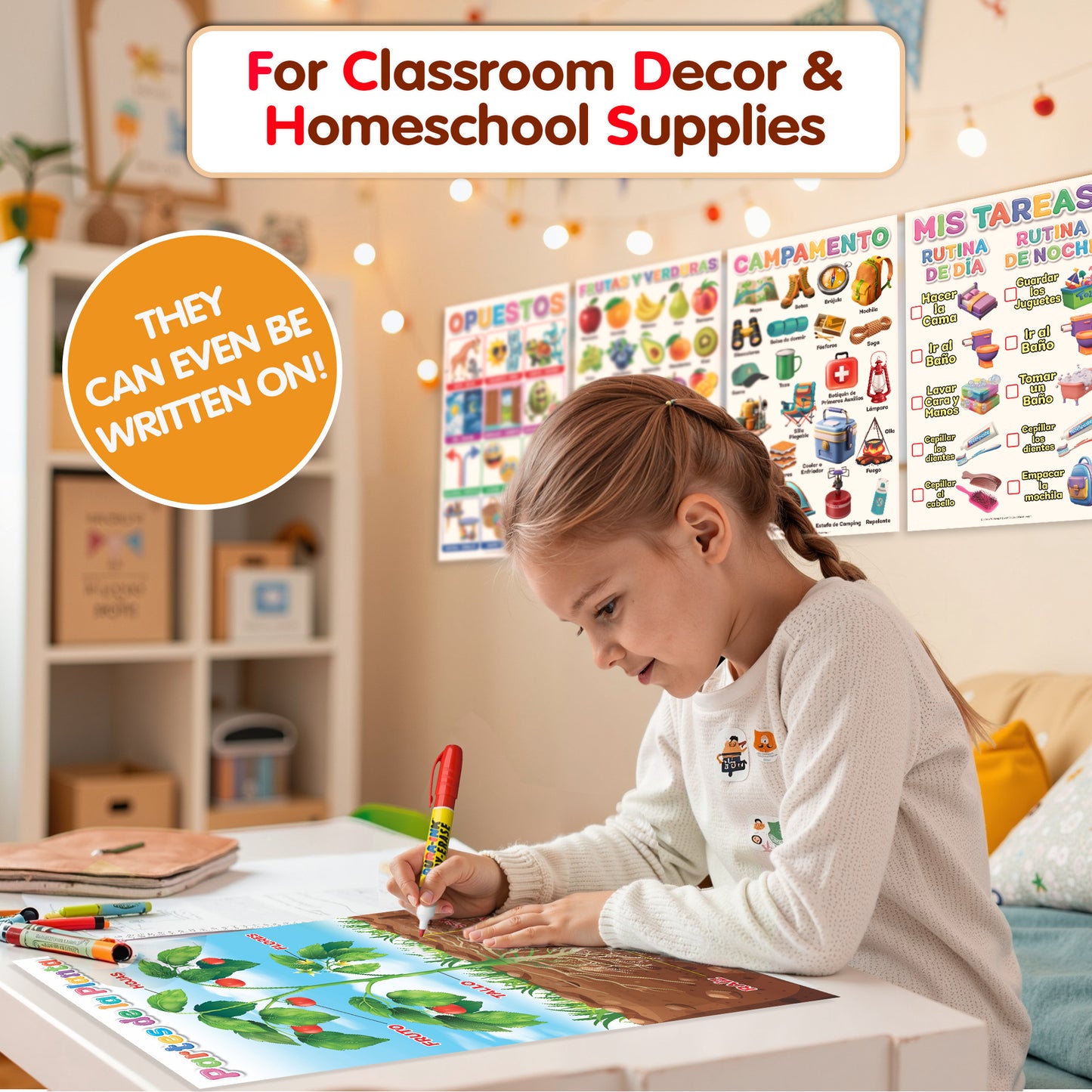DeeDee's Workshop 16 Spanish Classroom Posters (Spanish vol. 2)